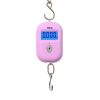 Portable Hanging Hook 50Kg/5g Precision Electronic Digital Scale Crane Scale Weight Pocket Scale Luggage Scale